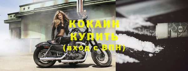 дживик Абаза