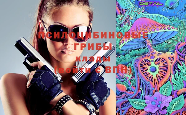мет Няндома