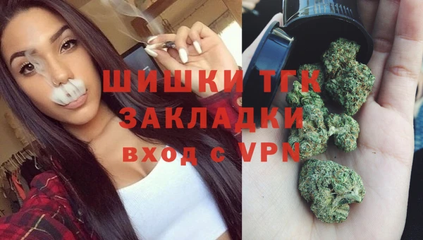 дживик Абаза
