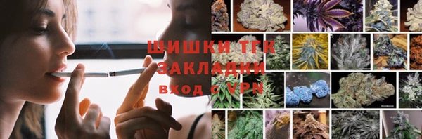 дживик Абаза